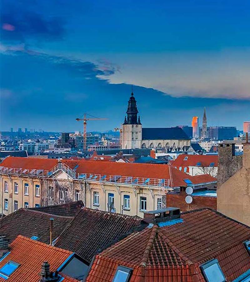 LE ROY DES TOITS : travaux de couverture, zinguerie, entretien de toiture : nettoyage, démoussage et peinture hydrofuge toiture, étanchéité toit plat roofing et nettoyage des extérieurs  ... intervention en BELGIQUE: région Flamande, Wallonne et Bruxelles, Liège ….