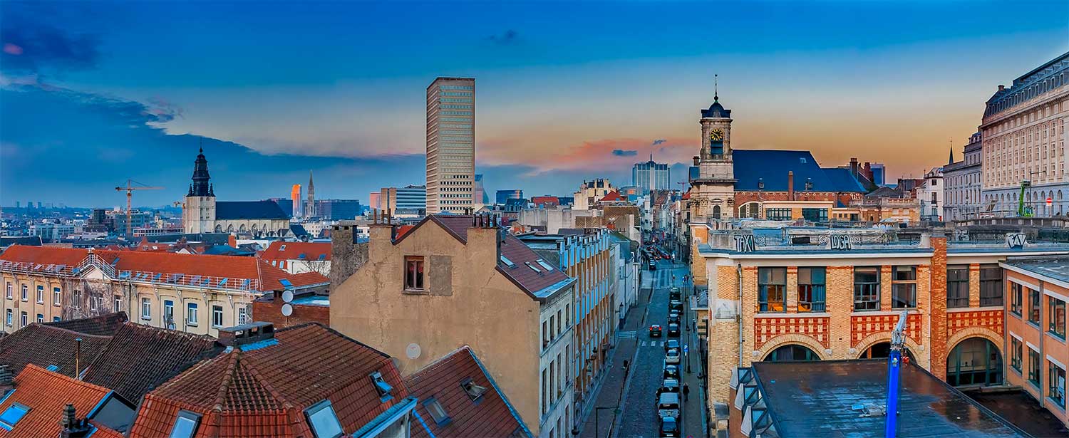 LE ROY DES TOITS : travaux de couverture, zinguerie, entretien de toiture : nettoyage, démoussage et peinture hydrofuge toiture, étanchéité toit plat roofing et nettoyage des extérieurs  ... intervention en BELGIQUE: région Flamande, Wallonne et Bruxelles, Liège ….