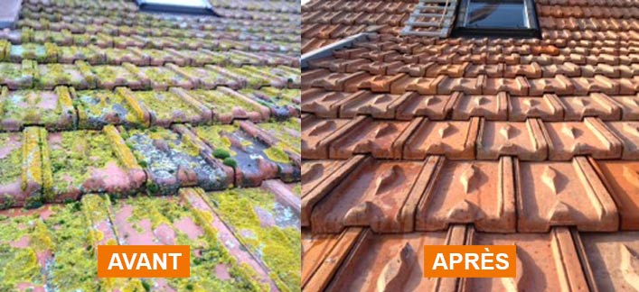 Nettoyage et peinture hydrofuge toiture -  LE ROY DES TOITS artisan couvreur en Belgique : région Flamande, Wallonne et Bruxelles, Liège ….nettoyage, démoussage, traitement anti-mousse toiture. peinture hydrofuge toiture. 