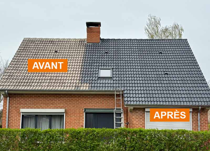 Nettoyage et peinture hydrofuge toiture -  LE ROY DES TOITS artisan couvreur en Belgique : région Flamande, Wallonne et Bruxelles, Liège ….nettoyage, démoussage, traitement anti-mousse toiture. peinture hydrofuge toiture. 