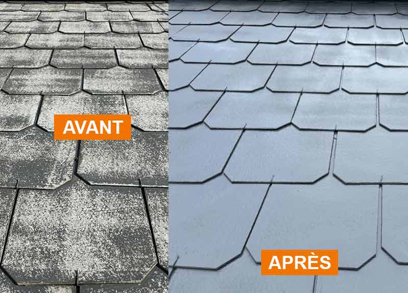 Nettoyage et peinture hydrofuge toiture -  LE ROY DES TOITS artisan couvreur en Belgique : région Flamande, Wallonne et Bruxelles, Liège ….nettoyage, démoussage, traitement anti-mousse toiture. peinture hydrofuge toiture. 