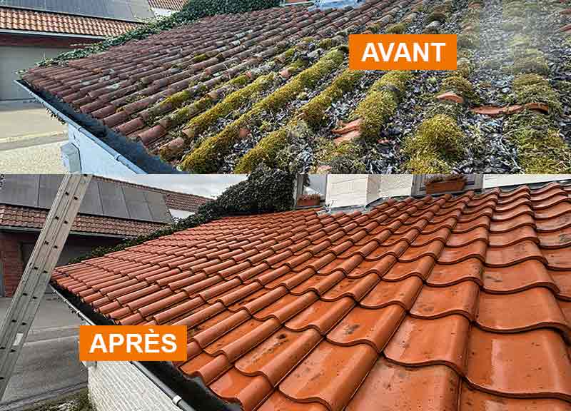 Nettoyage et peinture hydrofuge toiture -  LE ROY DES TOITS artisan couvreur en Belgique : région Flamande, Wallonne et Bruxelles, Liège ….nettoyage, démoussage, traitement anti-mousse toiture. peinture hydrofuge toiture. 