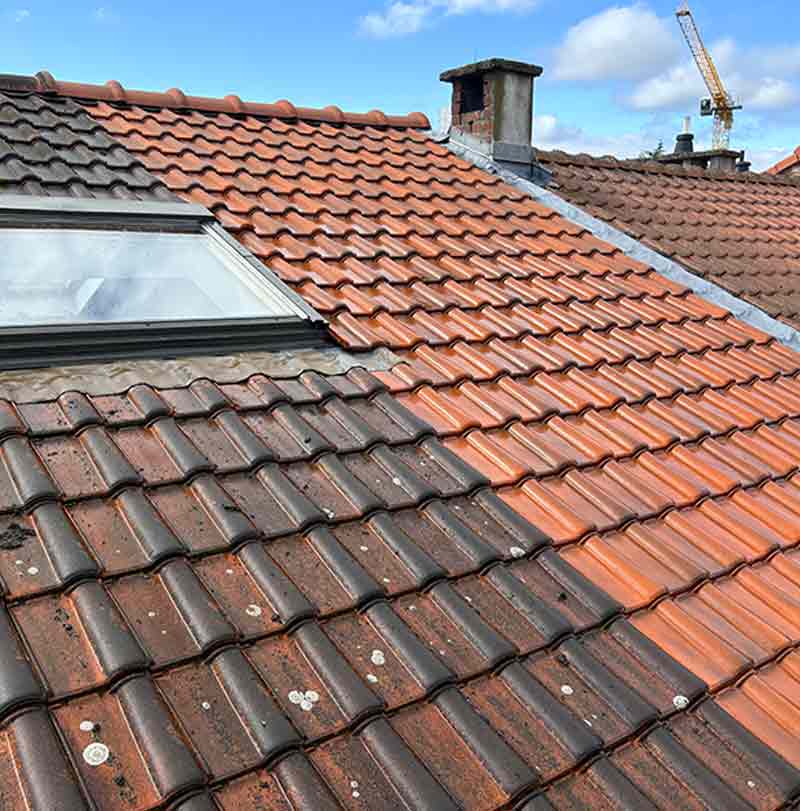 Nettoyage et peinture hydrofuge toiture -  LE ROY DES TOITS artisan couvreur en Belgique : région Flamande, Wallonne et Bruxelles, Liège ….nettoyage, démoussage, traitement anti-mousse toiture. peinture hydrofuge toiture. 